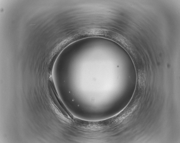 X0000060810445200511141510