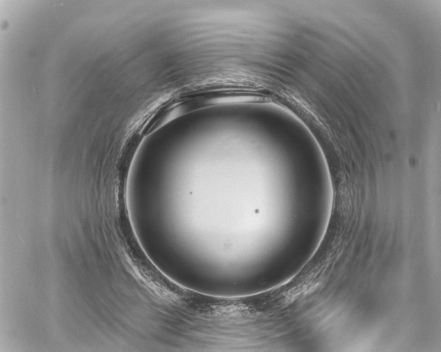 X0000060810446200511141510