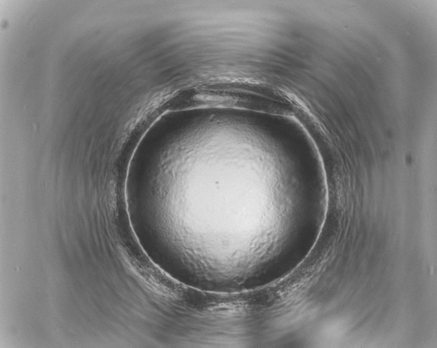 X0000060810447200511141510