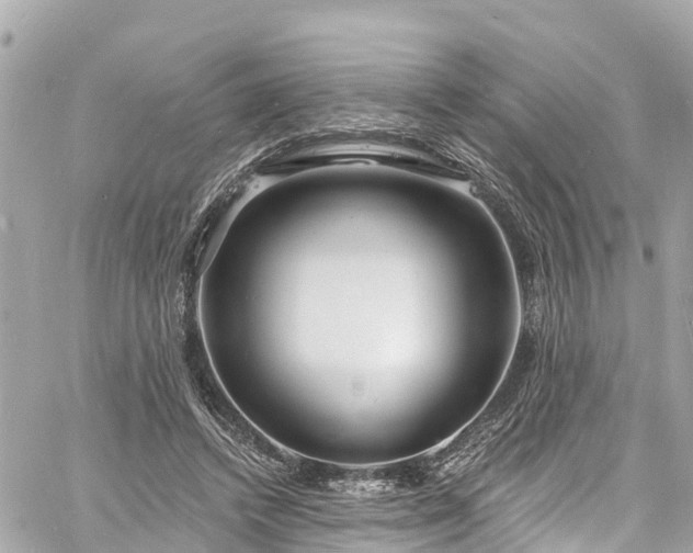 X0000060810448200511141510