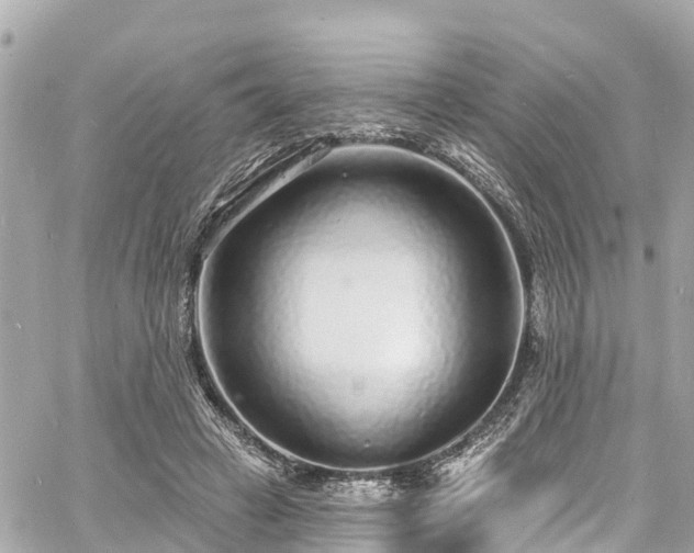 X0000060810449200511141510