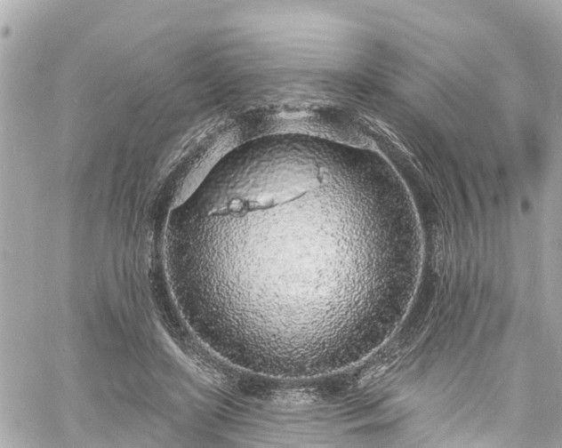 X0000060810451200511141510