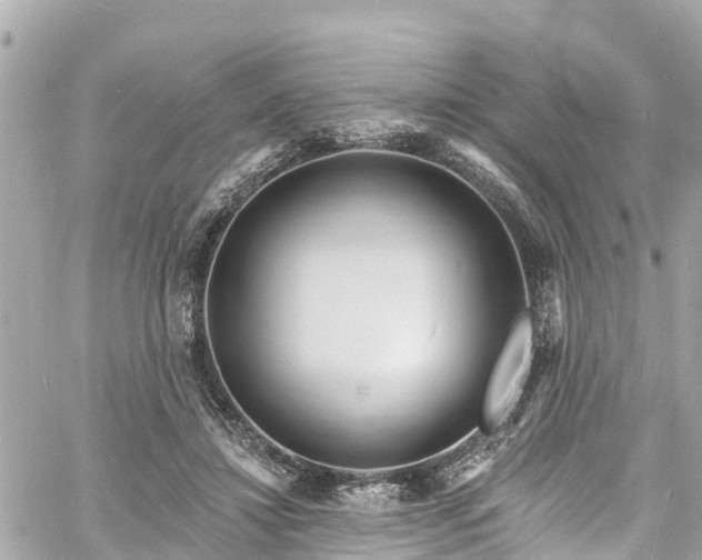 X0000060810452200511141510