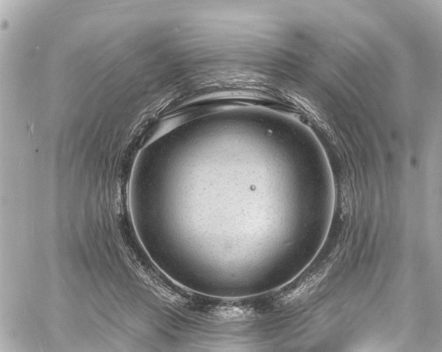 X0000060810453200511141510