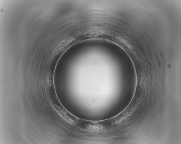 X0000060810455200511141511