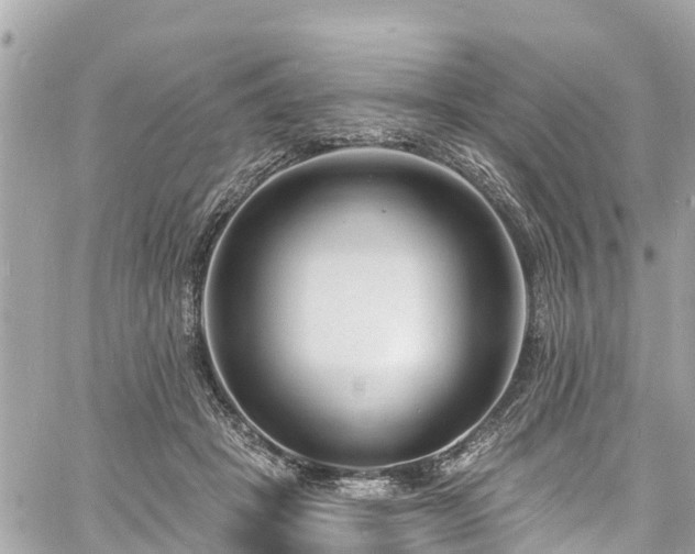 X0000060810457200511141511