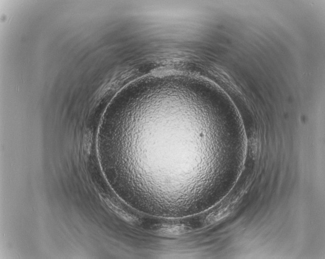 X0000060810458200511141511