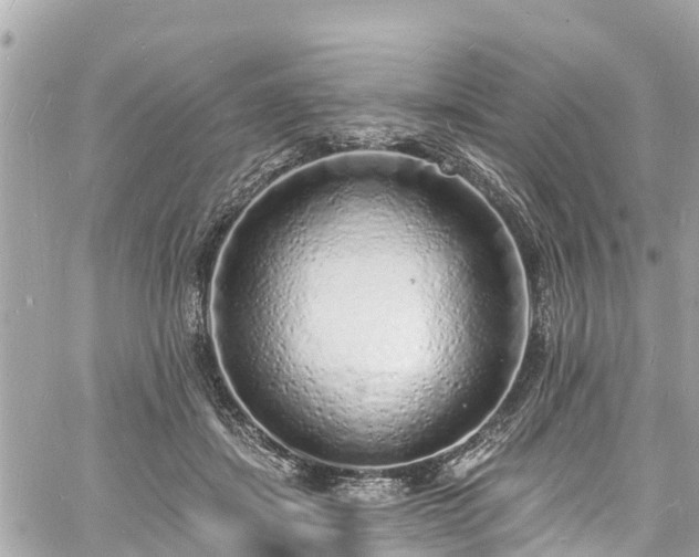 X0000060810459200511141511