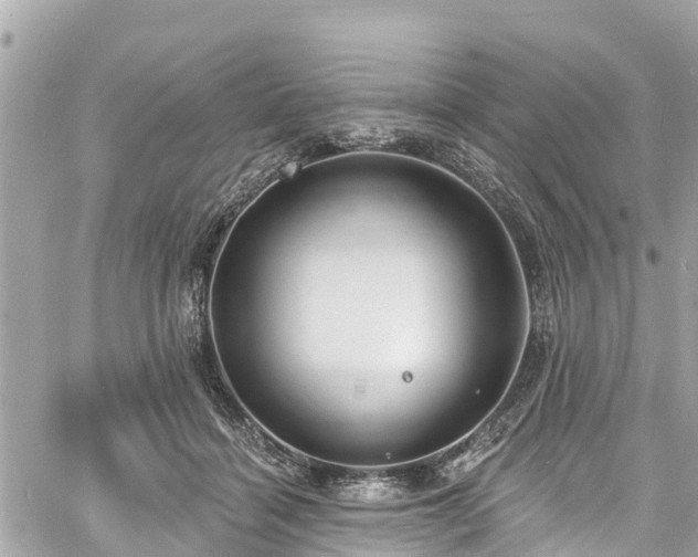 X0000060810460200511141511