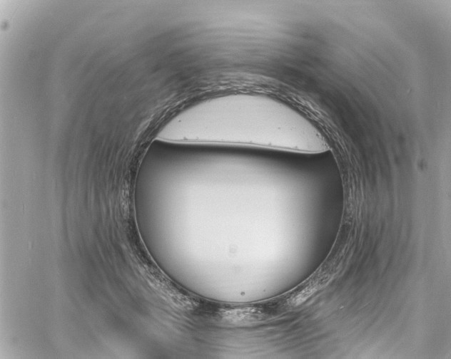 X0000060810461200511141511