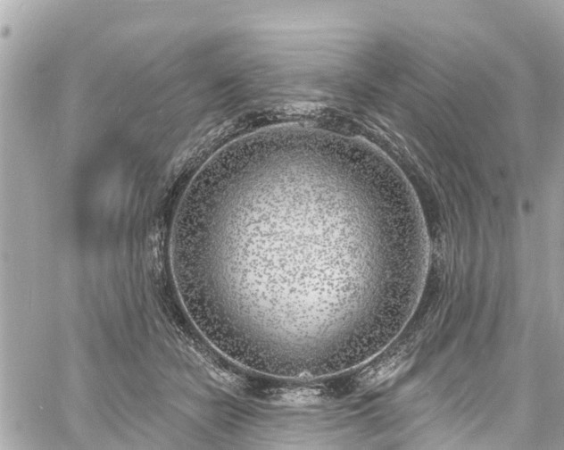 X0000060810462200511141511