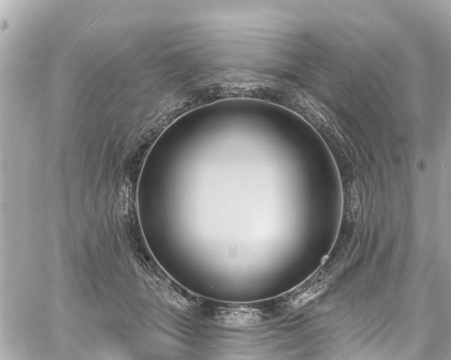 X0000060810463200511141511