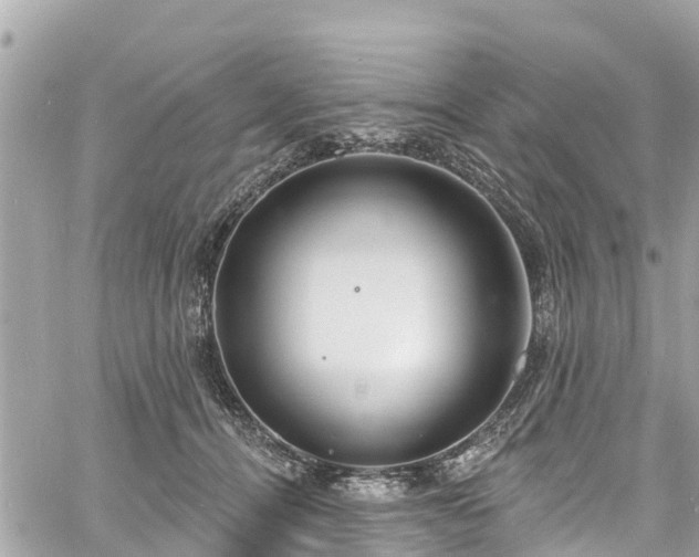 X0000060810464200511141511