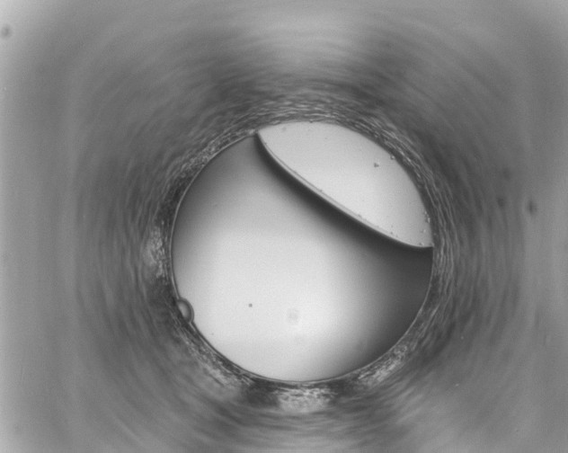 X0000060810465200511141511