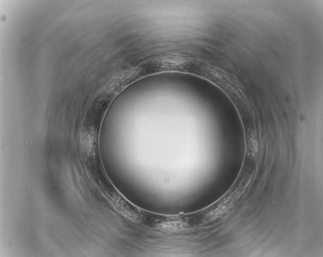 X0000060810468200511141511