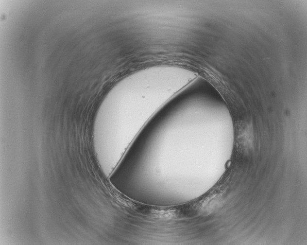 X0000060810469200511141511