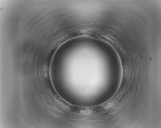 X0000060810470200511141511