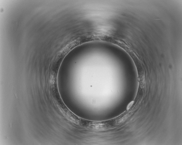 X0000060810472200511141511