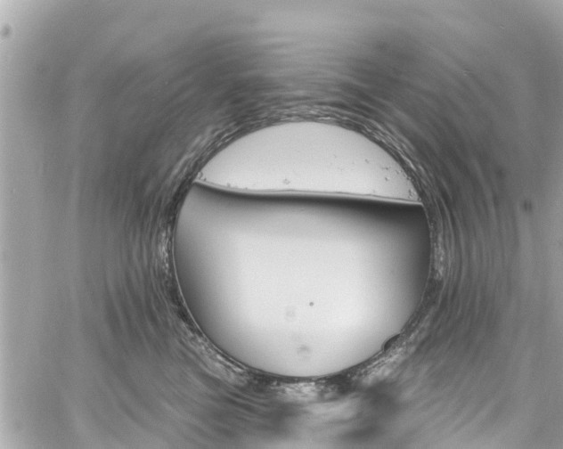 X0000060810473200511141511