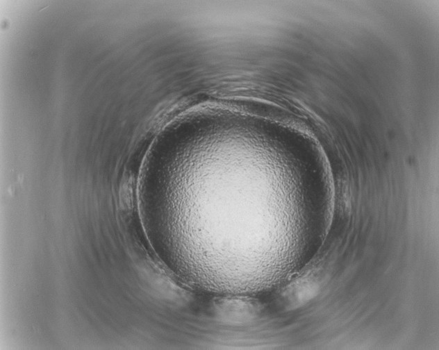 X0000060810475200511141511