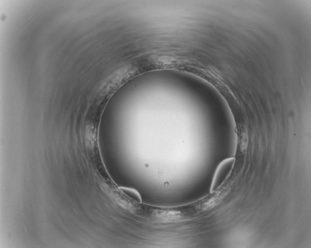 X0000060810476200511141511