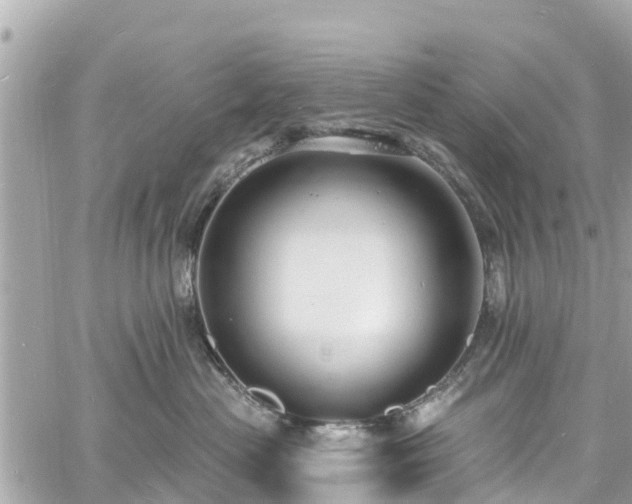 X0000060810477200511141511