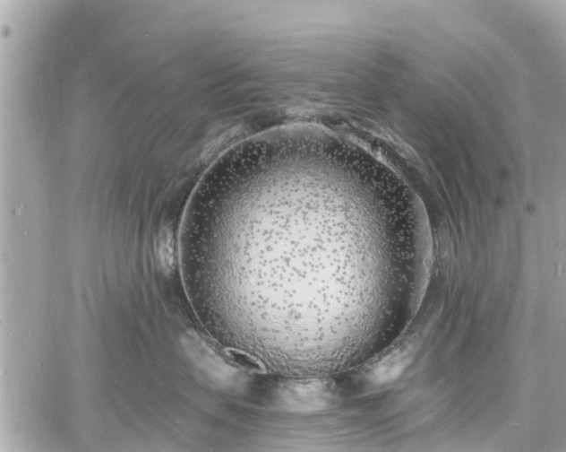 X0000060810479200511141511