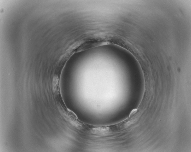 X0000060810480200511141511