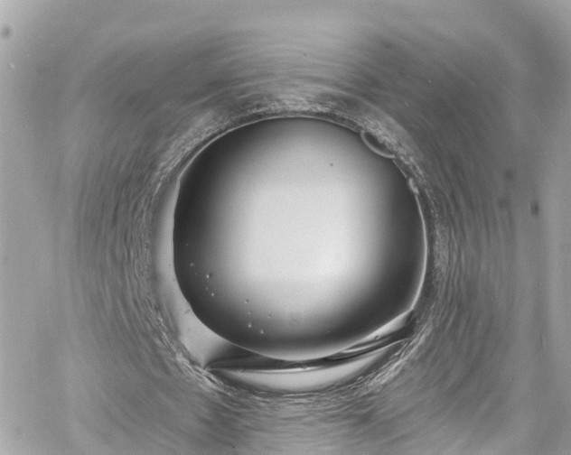 X0000060810481200511141510