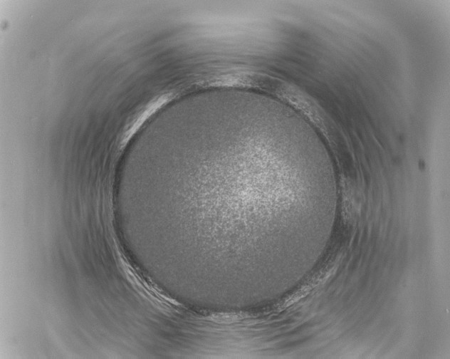 X0000060810482200511141510