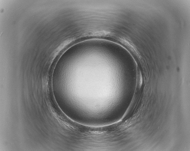 X0000060810483200511141510