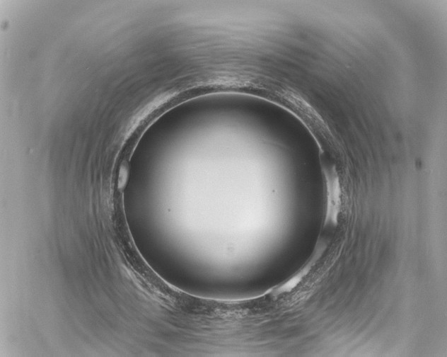 X0000060810484200511141510