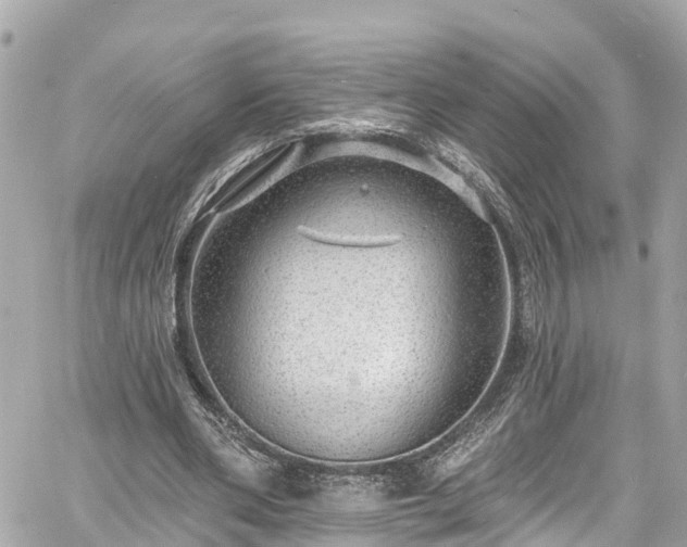 X0000060810486200511141510