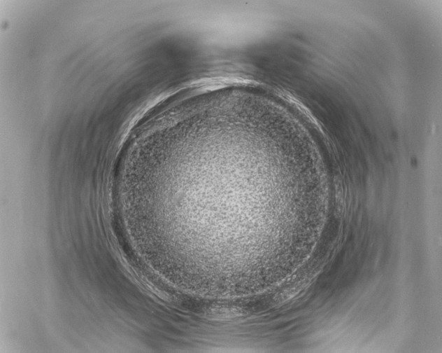 X0000060810487200511141510