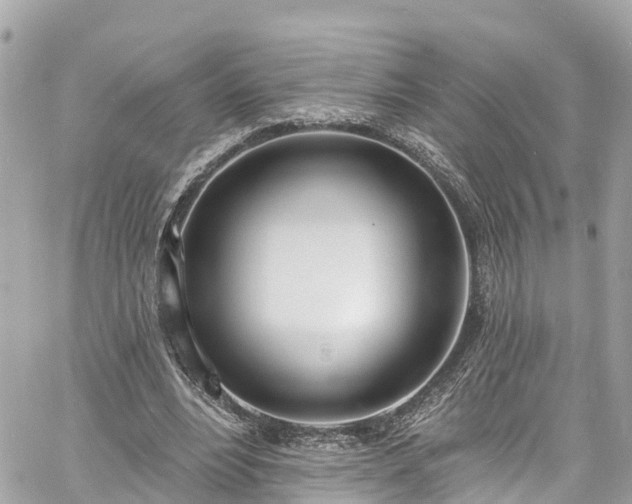 X0000060810488200511141510