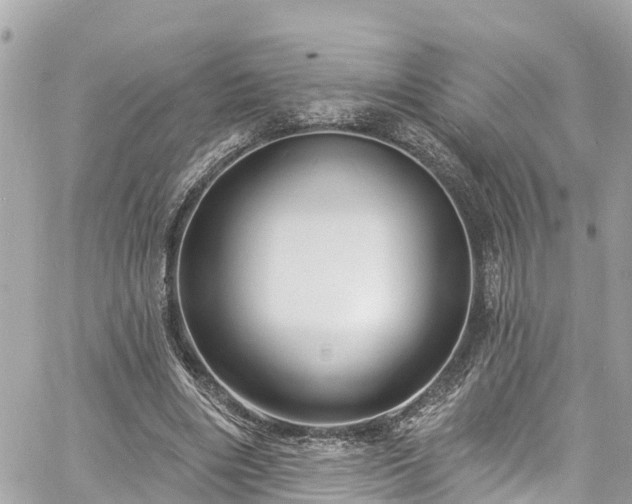 X0000060810490200511141510