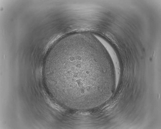 X0000060810491200511141510