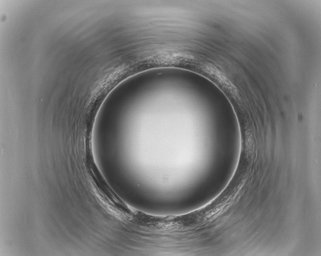 X0000060810493200511141510