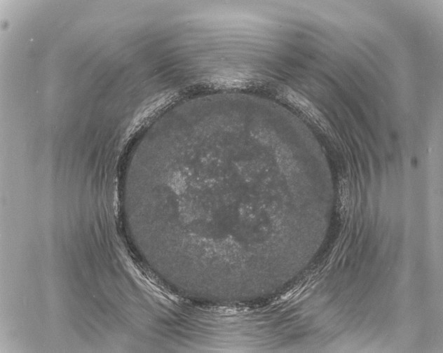 X0000060810494200511141510