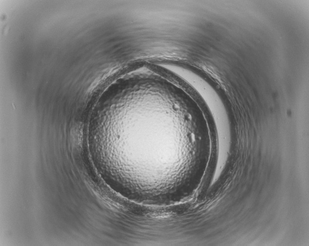 X0000060810495200511141510