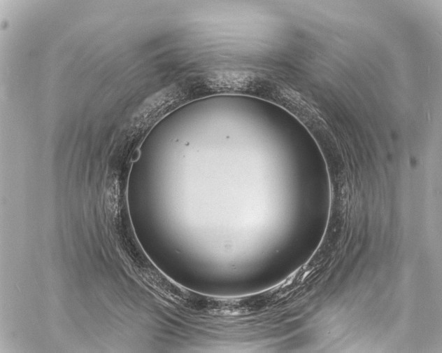 X0000060810498200511141510