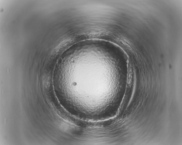 X0000060810499200511141510