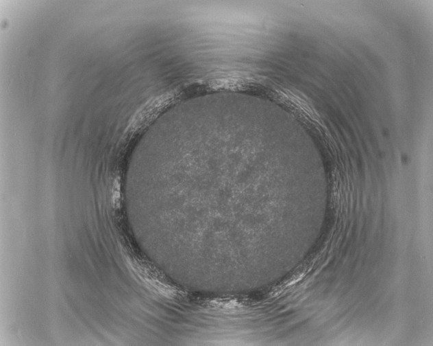 X0000060810502200511141510