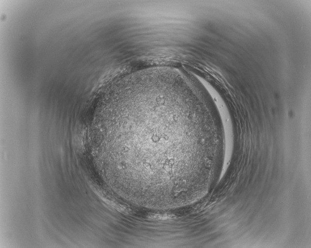 X0000060810503200511141510