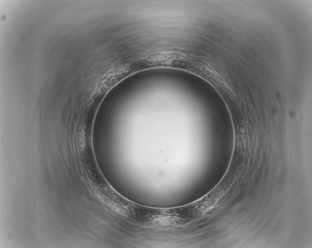 X0000060810504200511141510