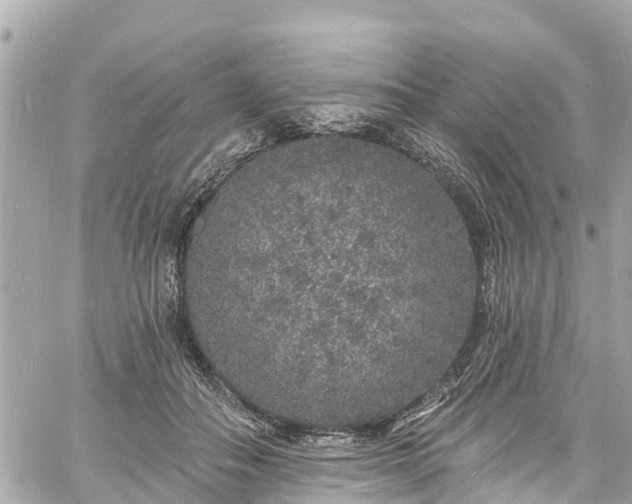 X0000060810506200511141510