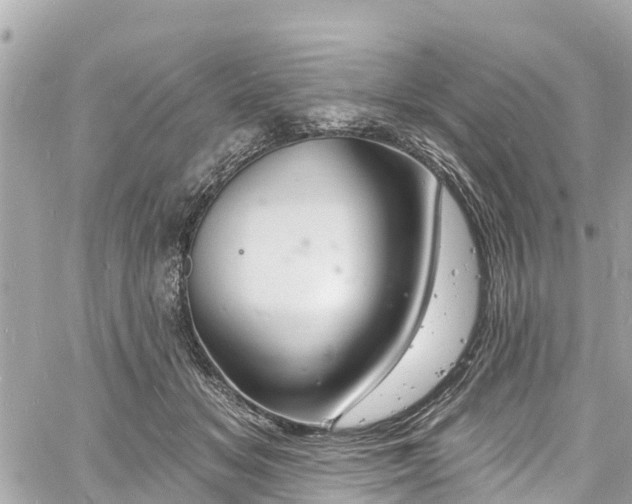 X0000060810509200511141510