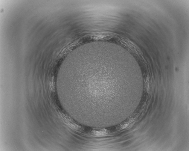 X0000060810510200511141510