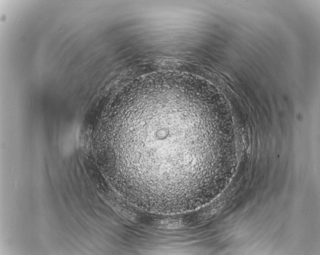 X0000060810511200511141510