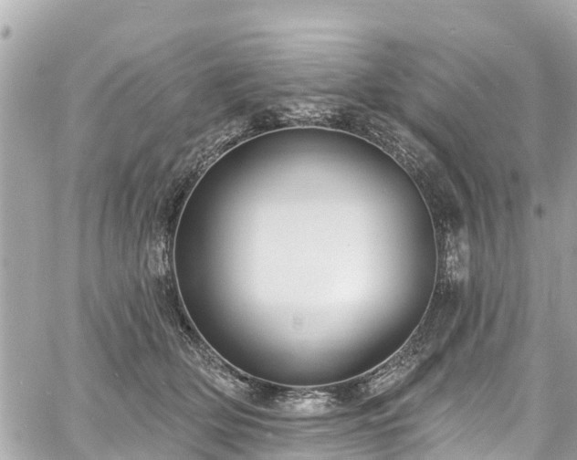 X0000060810514200511141510